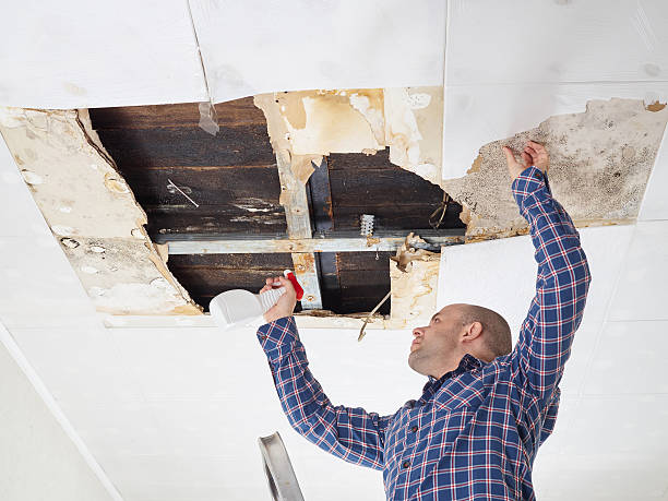 Best Crawl Space Mold Remediation  in Capron, IL